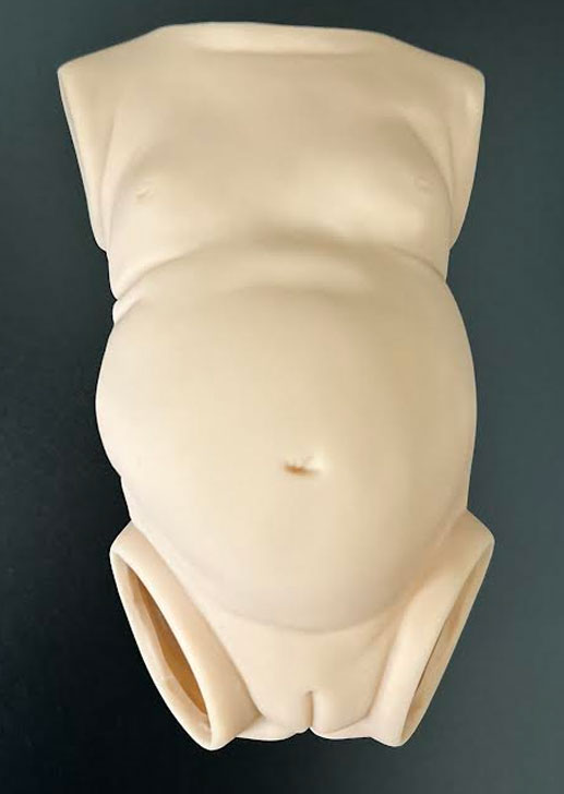 19 inch Girl Torso for Charlee, Meadow, &amp; Blossom by Andrea Arcello 