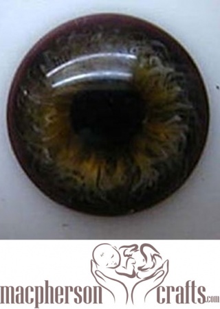  20mm Half Round Real Life Glass Eyes - Dark Hazel