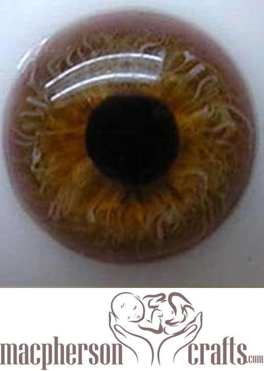 24mm Half Round Real Life Glass Eyes -Hazel